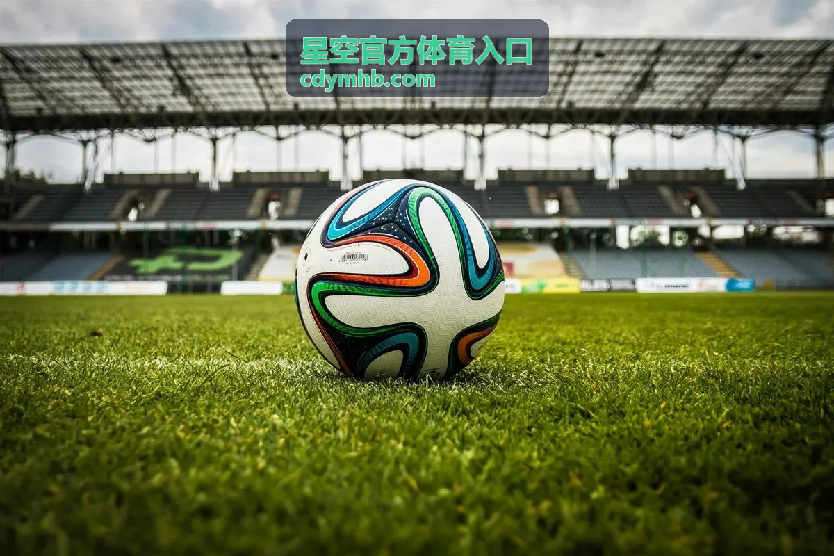星空官方体育入口赛事与数据服务的赛程与统计查阅界面