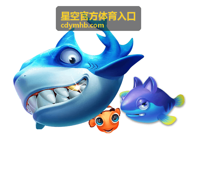 星空官方体育入口内容分区展示图