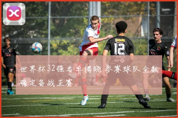 世界杯32强名单揭晓 参赛球队全数确定备战正赛