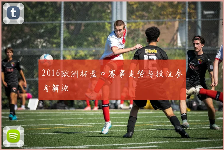 2016欧洲杯盘口赛事走势与投注参考解读