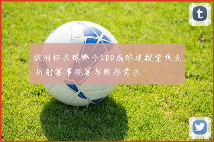 欧洲杯买球哪个app成球迷搜索焦点 折射赛事观赛与购彩需求