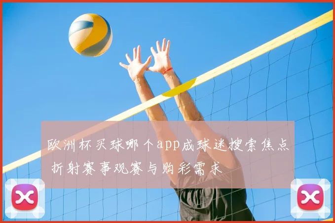欧洲杯买球哪个app成球迷搜索焦点 折射赛事观赛与购彩需求