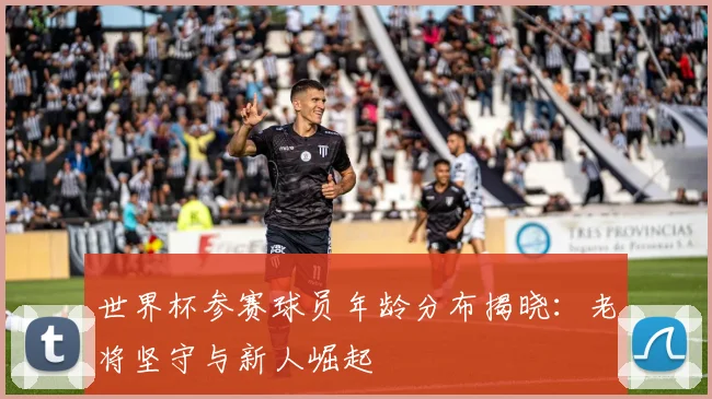 世界杯参赛球员年龄分布揭晓：老将坚守与新人崛起