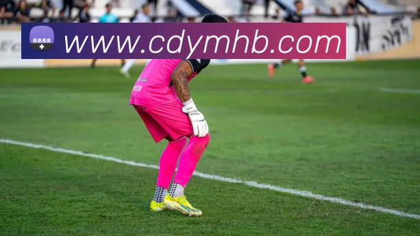 世界杯开户平台服务体系